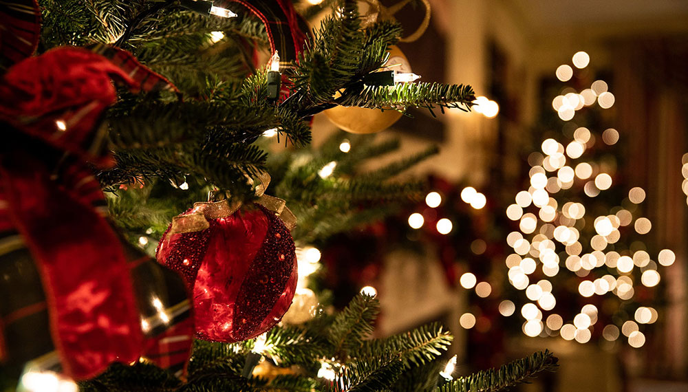 Christmas ornament and tree in background